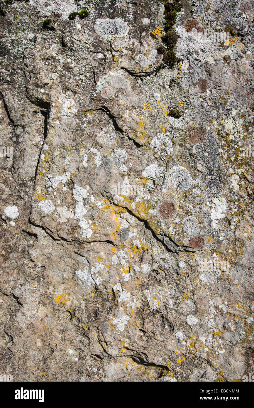 Faccia su pietra permanente a Clava Cairns in Scozia. Foto Stock