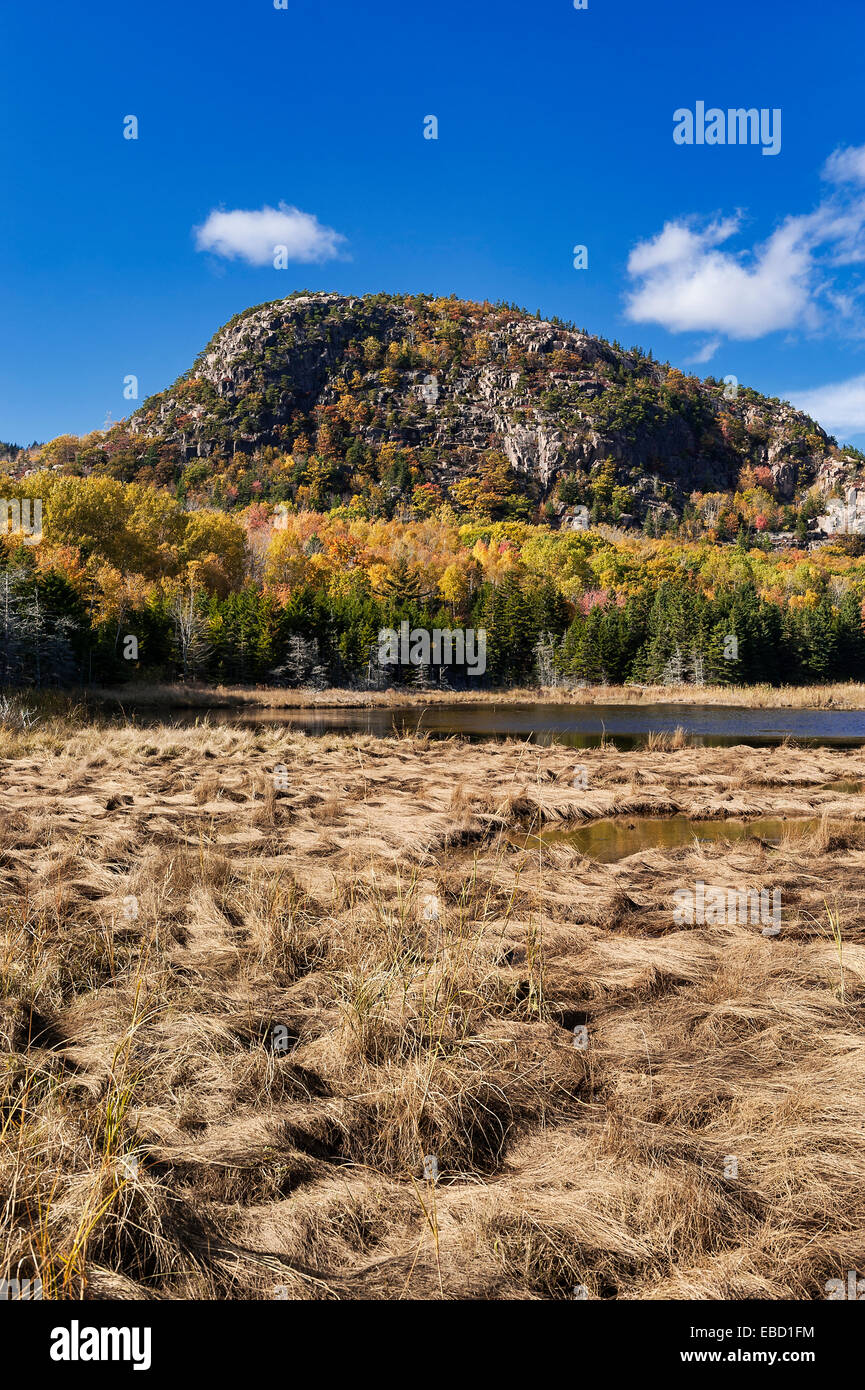 Bolla di montagna, parco nazionale di Acadia, isola di Mount Desert, Maine, Stati Uniti d'America Foto Stock