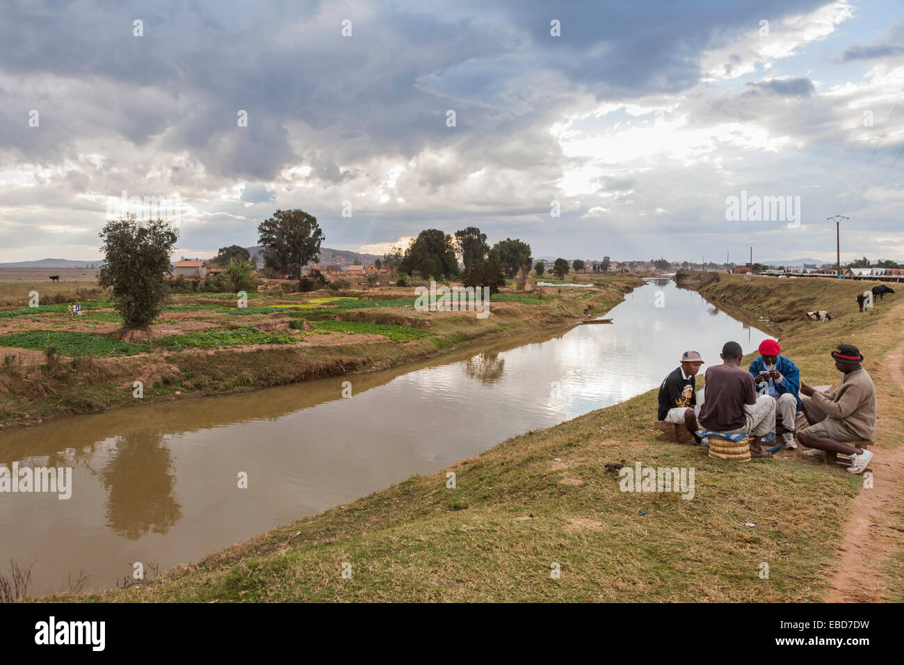 Lo stile di vita locale: gruppo di quattro locali africane uomini carte da gioco sulla sponda di un canale di irrigazione in Antananarivo, o Tana, la città capitale del Madagascar Foto Stock