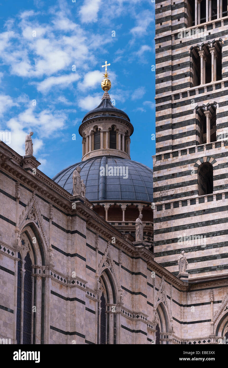 Close-up del duomo e la torre e il Duomo di Siena e Provincia di Siena, Siena, Toscana, Italia Foto Stock