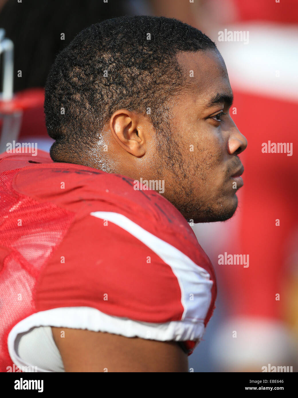 La Columbia, MO, Stati Uniti d'America. 28 Nov, 2014. Arkansas Razorbacks difensivo fine Trey fiori (86) Come si è visto nel corso del primo trimestre del NCAA Football gioco tra il Missouri Tigri e l'Arkansas Razorbacks in campo Faurot in Columbia, Missouri. Missouri sconfitto Arkansas 21-14. ©2014 Billy Hurst/CSM/Alamy Live News Foto Stock