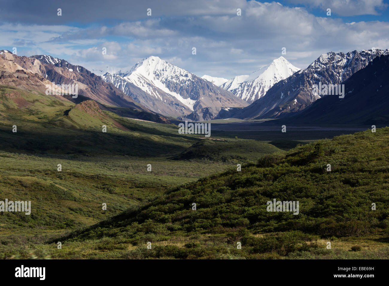 Paesaggio con montagne, Parco Nazionale di Denali, Alaska, STATI UNITI D'AMERICA Foto Stock