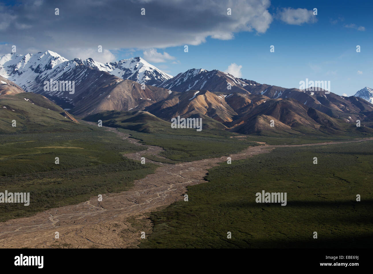 Paesaggio con montagne, Parco Nazionale di Denali, Alaska, STATI UNITI D'AMERICA Foto Stock
