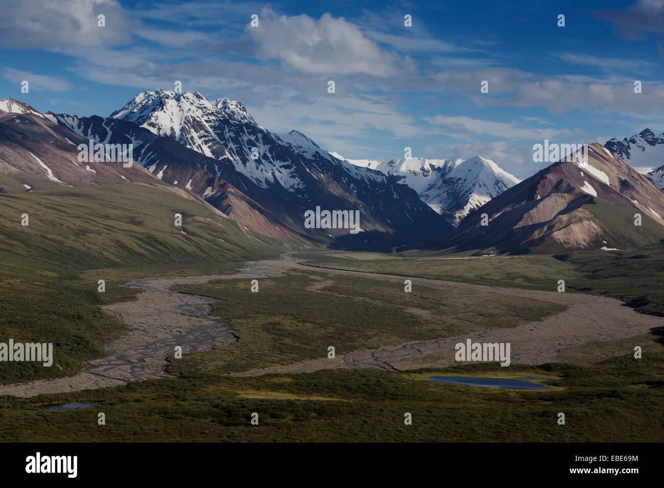 Paesaggio con montagne, Parco Nazionale di Denali, Alaska, STATI UNITI D'AMERICA Foto Stock