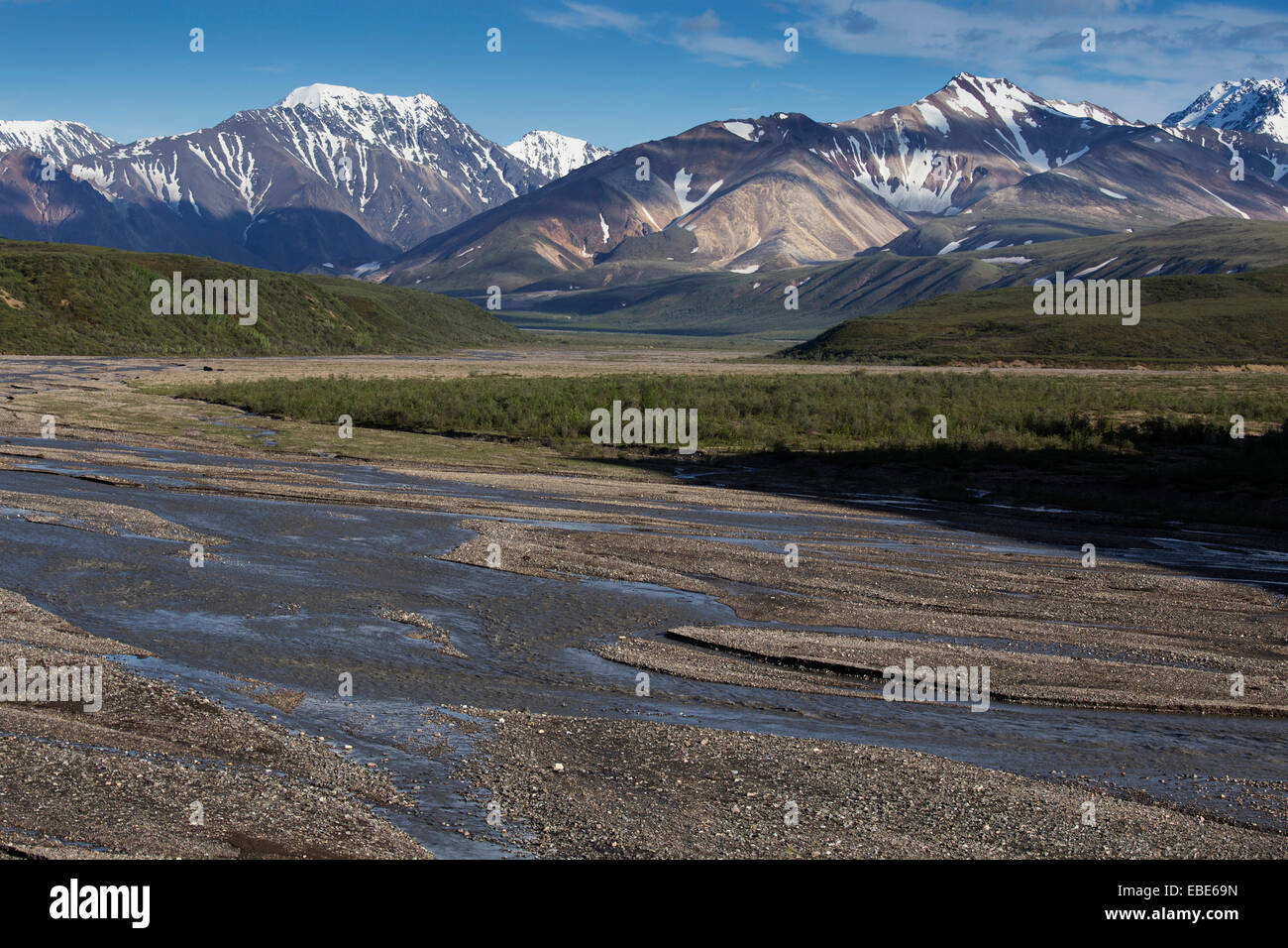 Paesaggio con montagne, Parco Nazionale di Denali, Alaska, STATI UNITI D'AMERICA Foto Stock