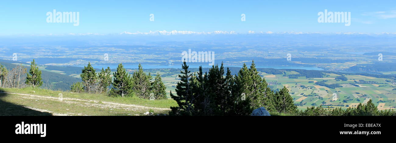 Vista delle Alpi dalla Chasseral montare nel Giura montagna dalla bella giornata estiva, Svizzera Foto Stock