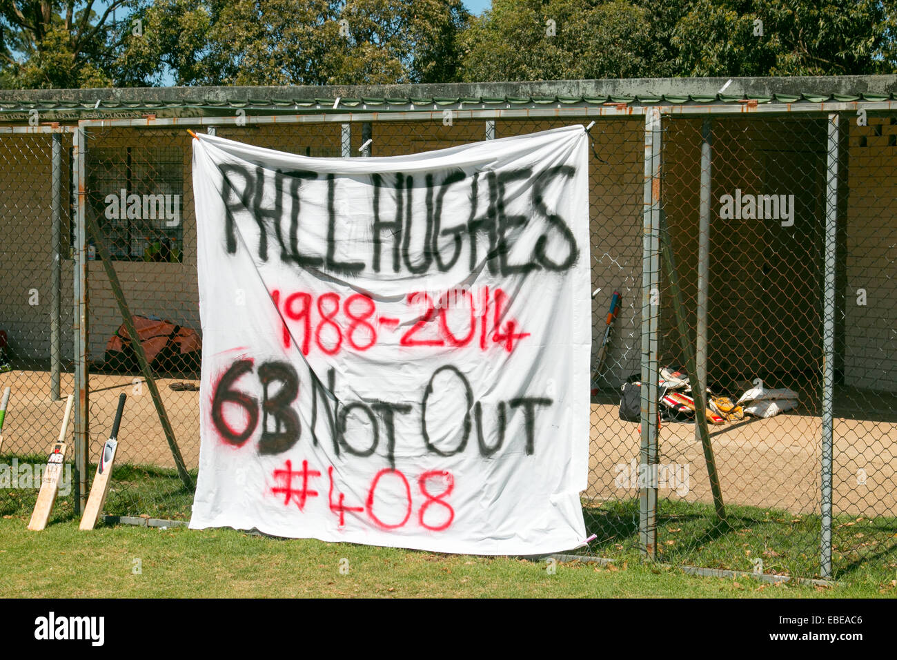 Sydney, Australia. 29 novembre 2014. Phillip Hughes stava battendo per l'Australia meridionale e aveva raggiunto i 63 anni quando era rimasto ferito mortalmente dopo essere stato colpito da un lancio di rimbalzo al Sydney cricket Ground Foto Stock