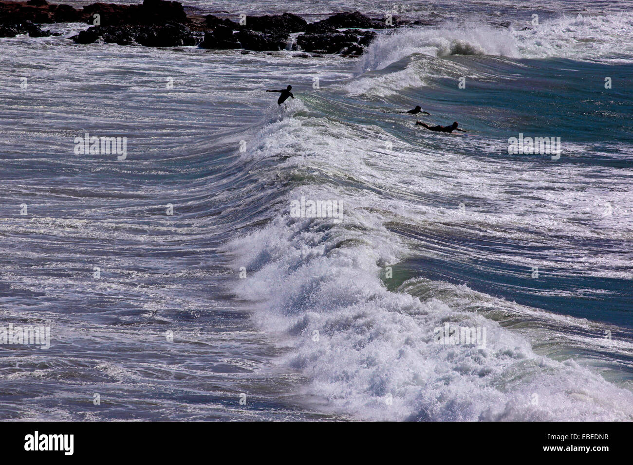 Surfers tra le onde - Isola di San Pietro, La Caletta spiaggia, Sardegna Foto Stock