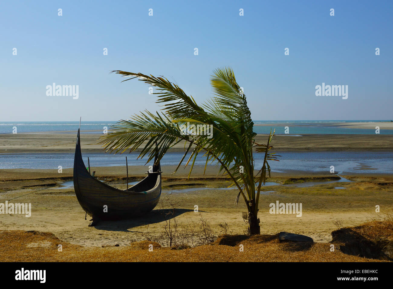 Messa a terra, legno barca da pesca e una palma da cocco albero su di una spiaggia in Cox bazar, Bangladesh durante la bassa marea Foto Stock