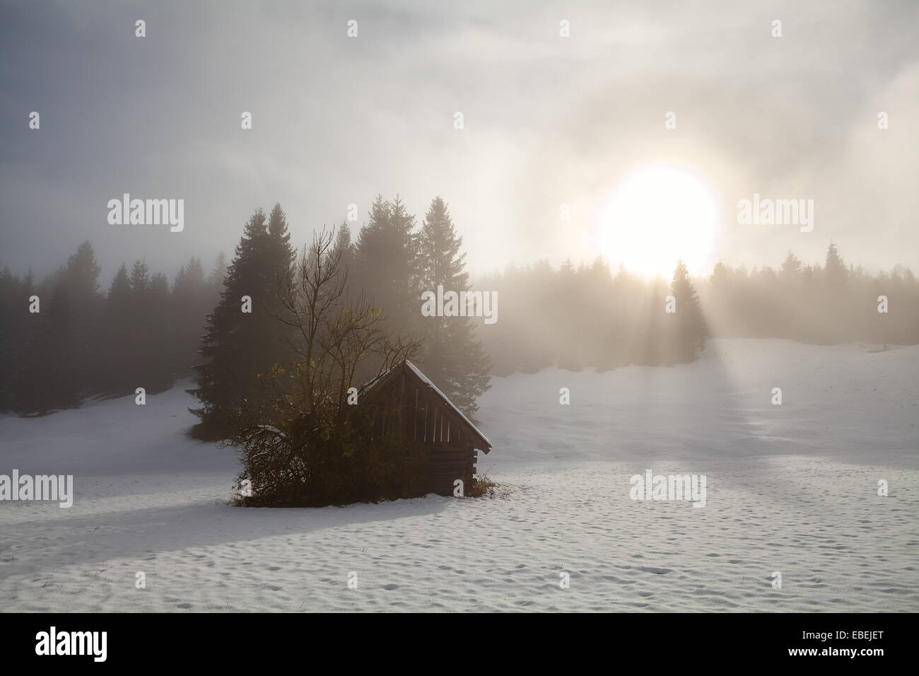 Alba alpina prato di neve con la vecchia capanna, Germania Foto Stock