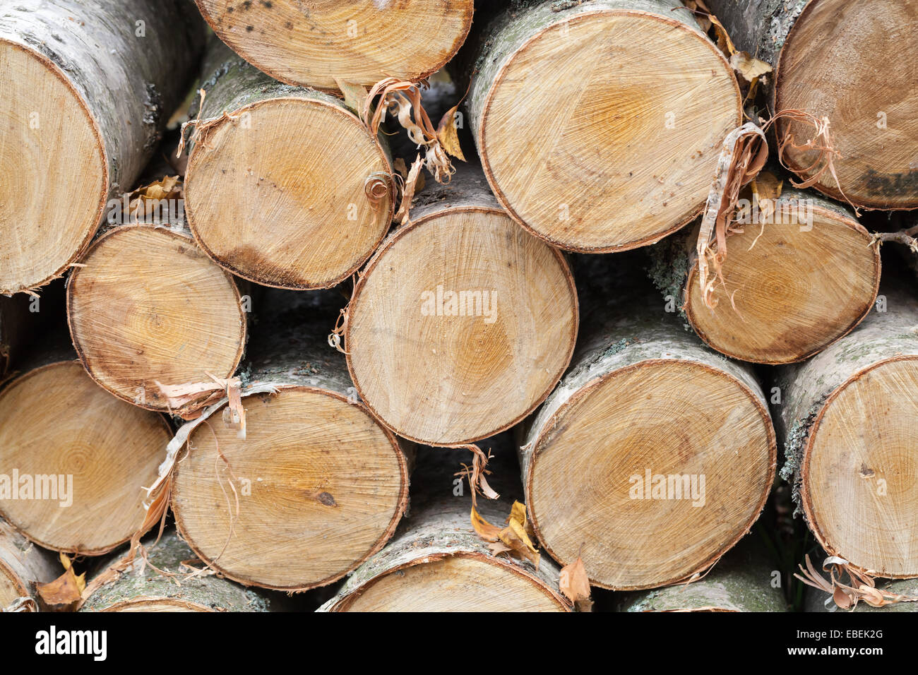 Catasta di legna da ardere, closeup foto di cunei di betulla Foto Stock