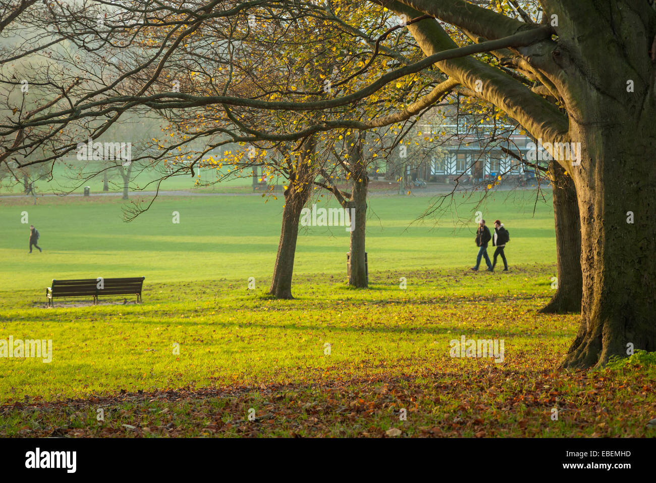 In autunno il tramonto in Preston Park, Brighton. Foto Stock