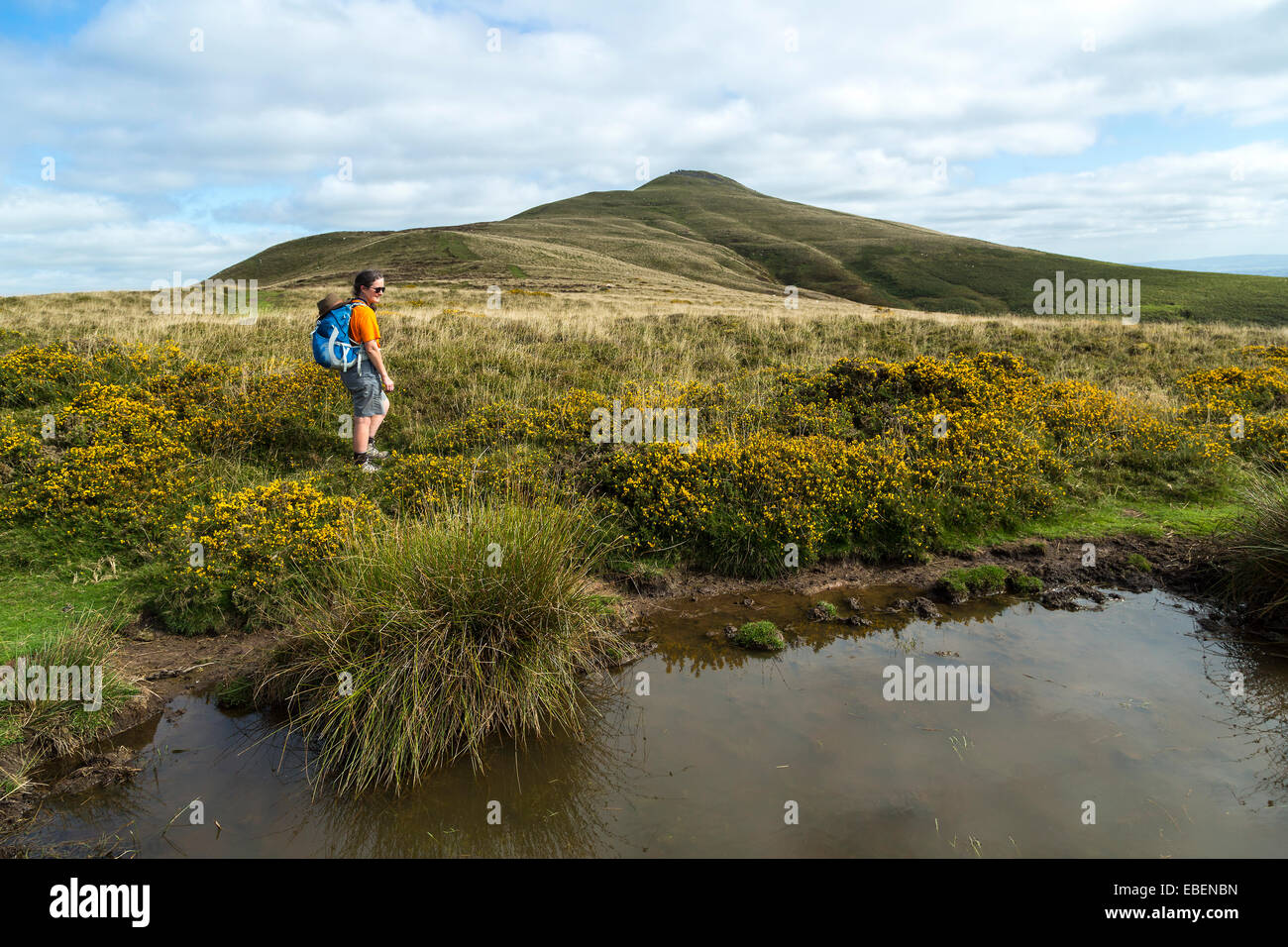 Walker per la montagna Sugar Loaf, Wales, Regno Unito Foto Stock
