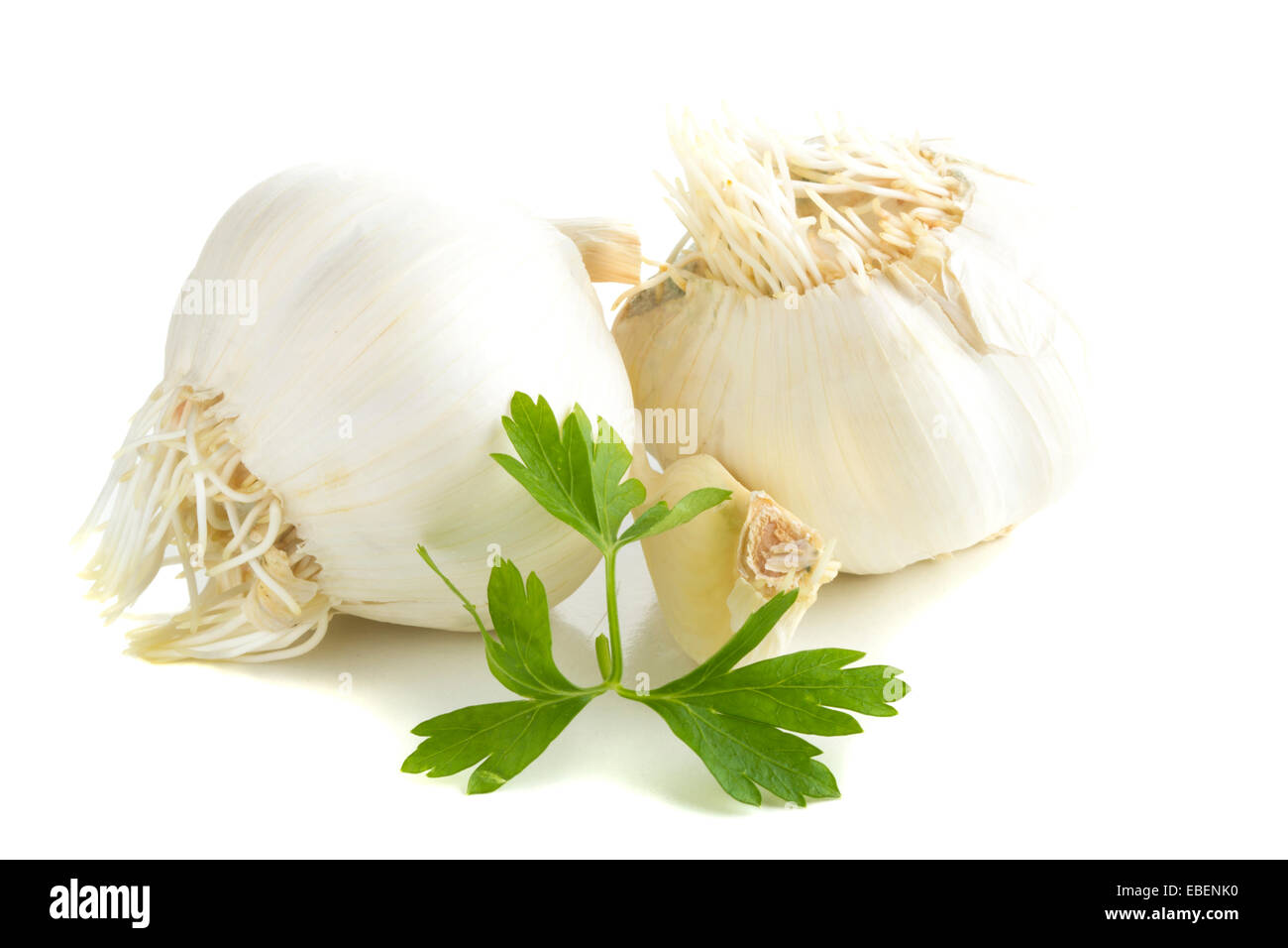 Bulbo di aglio e prezzemolo e isolato su sfondo bianco Foto Stock