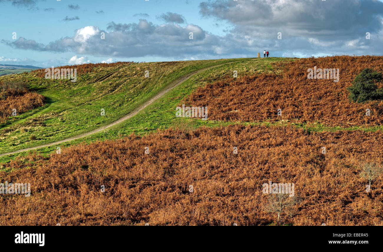 Un percorso che conduce fino alla cima di una collina che conduce a una triangolazione post sul vertice. La collina è coperta in decadendo brown bracken. Foto Stock