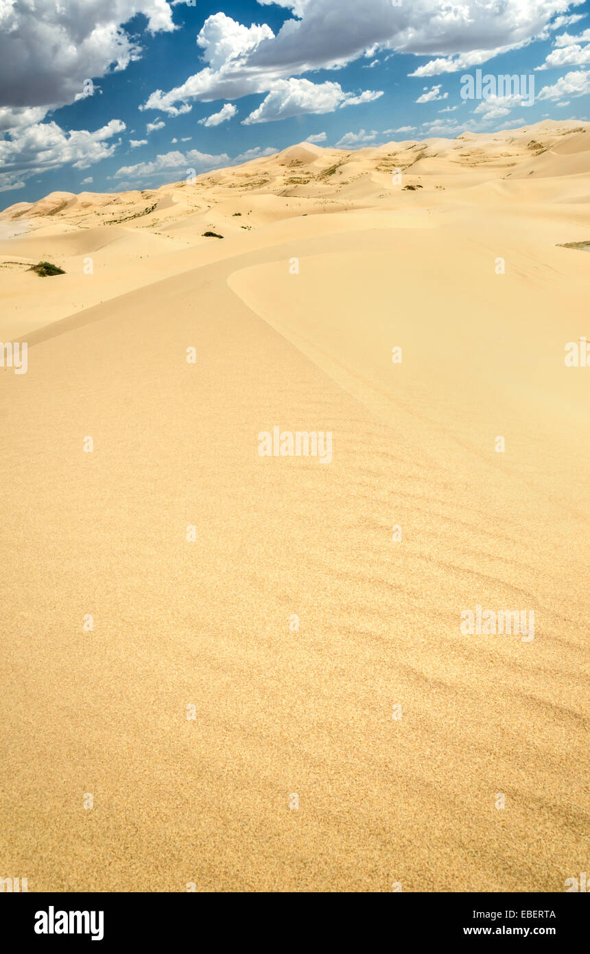 Samalayuca duna di sabbia campo Foto Stock