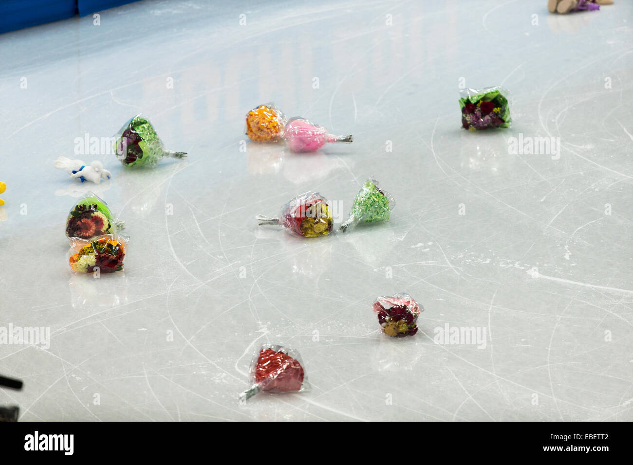 Fiori gettati sul ghiaccio dai fan di Yulia Lipnitskaya (RUS) dopo che ella competited nel femminile di Pattinaggio di Figura programma corto a Foto Stock