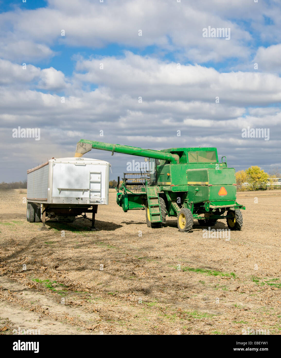 Agricoltura sfondo. Mietitrebbia Harvester trasferimento grano a carrello di trasporto Foto Stock