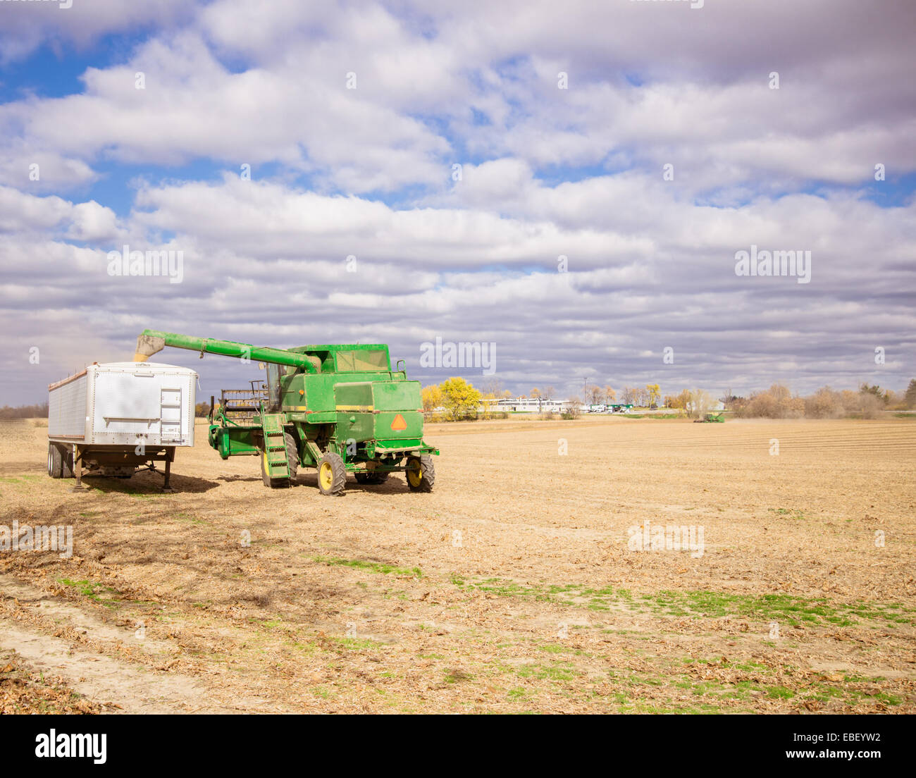 Agricoltura sfondo. Mietitrebbia Harvester trasferimento grano a carrello di trasporto Foto Stock