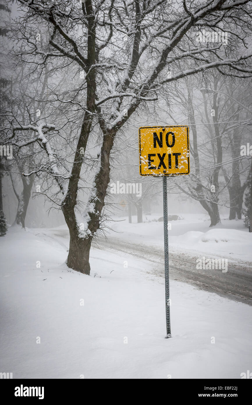 Tempesta su strada e gli alberi coperti di neve con Giallo nessun segno di uscita Foto Stock