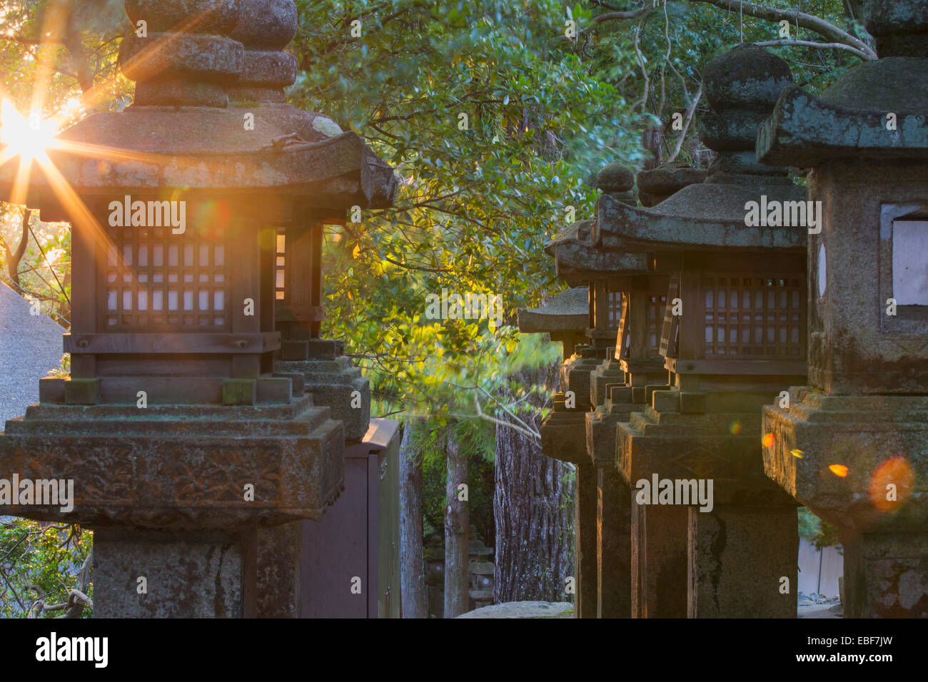 Lanterne di pietra a Kasuga Taisha (Patrimonio Mondiale dell'UNESCO) al tramonto, Nara, Kansai, Giappone Foto Stock