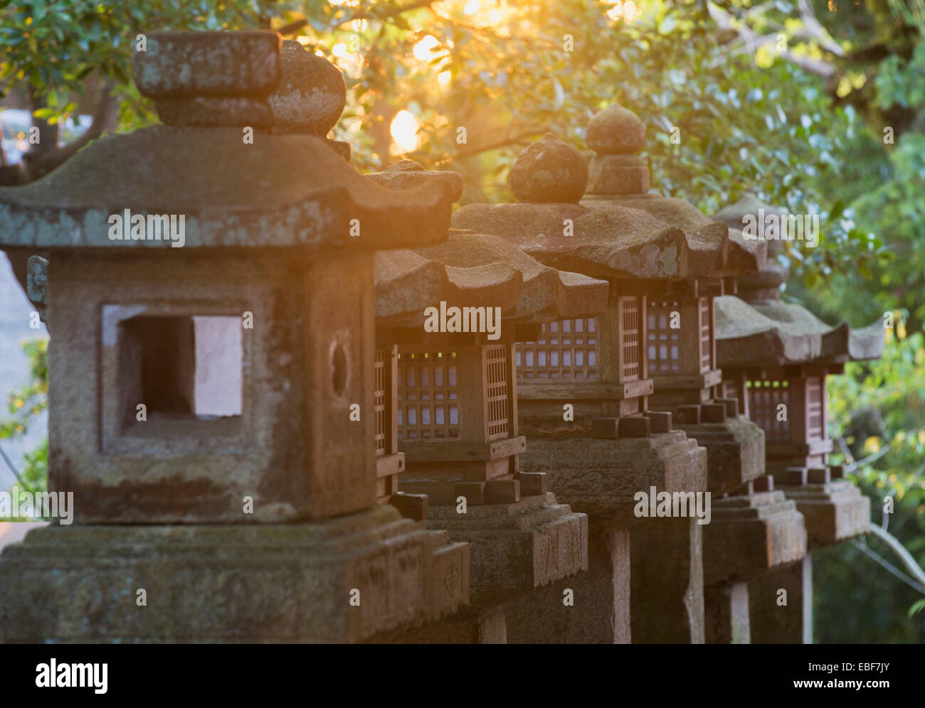Lanterne di pietra a Kasuga Taisha (Patrimonio Mondiale dell'UNESCO) al tramonto, Nara, Kansai, Giappone Foto Stock