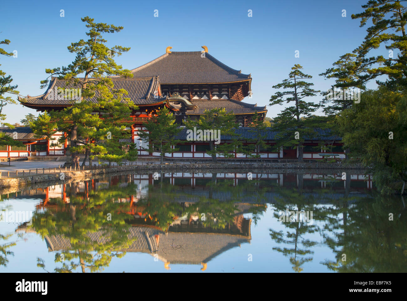 Il Tempio Todaiji (Patrimonio Mondiale dell'UNESCO) all'alba, Nara, Kansai, Giappone Foto Stock