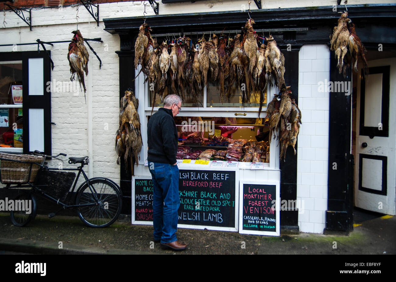 Un uomo in cerca nella finestra di un tradizionale negozio di macellaio con fagiano e selvaggina di appendere fuori a Ludlow Shropshire Foto Stock