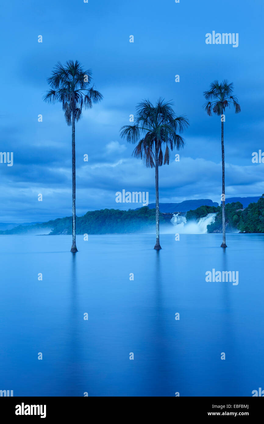 Ora blu fotografia di una cascata e palme di Canaima, Venezuela. Foto Stock