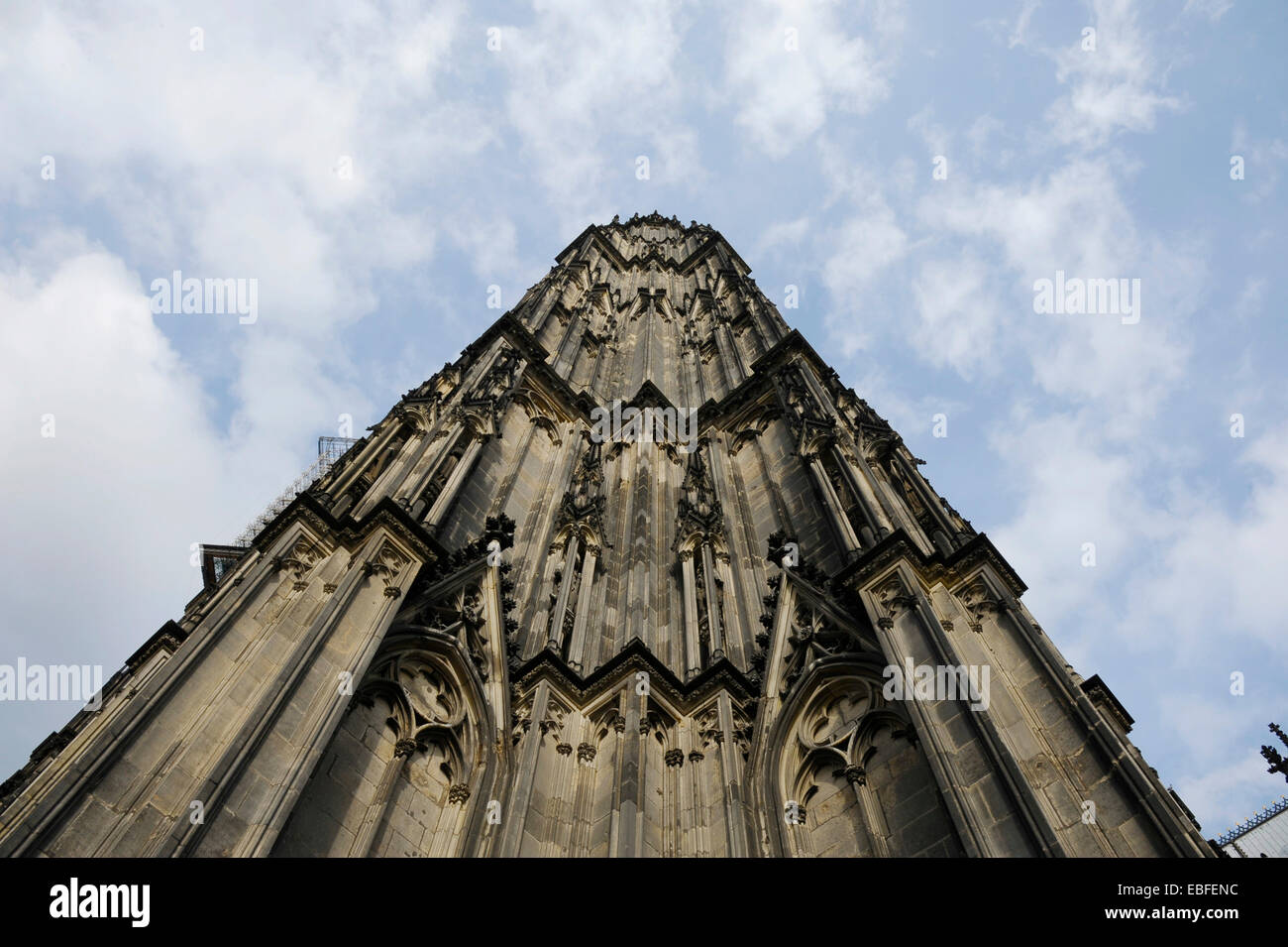 La ricerca di una delle torri della cattedrale di Colonia a Colonia, NRW, Deutschland Foto Stock