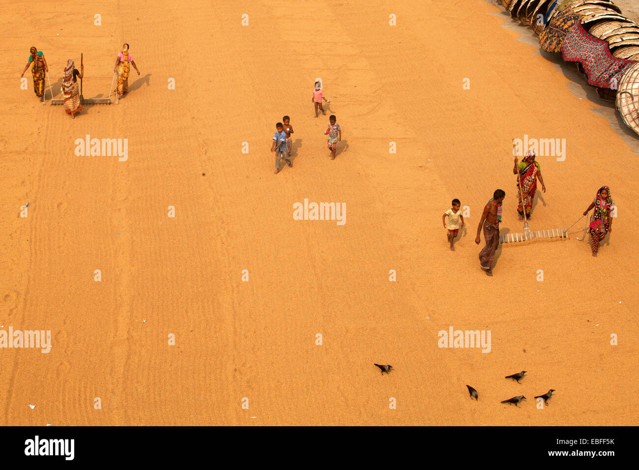 Sono molti i bambini e le donne che lavorano nel settore del riso mulini da 8 a.m. 6 p.m.. in serata su una base quotidiana per bambini 50 taka ($0,65 USD) e donne 110 taka ($1,43 USD) al giorno. Si ottiene solo una breve pausa per il pranzo. Malattia polmonare è comune. Foto Stock