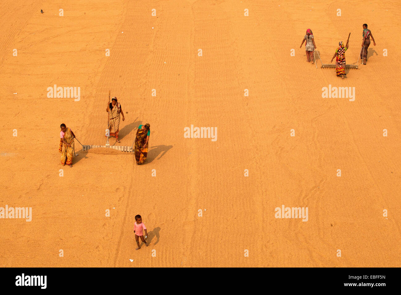 Sono molti i bambini e le donne che lavorano nel settore del riso mulini da 8 a.m. 6 p.m.. in serata su una base quotidiana per bambini 50 taka ($0,65 USD) e donne 110 taka ($1,43 USD) al giorno. Si ottiene solo una breve pausa per il pranzo. Malattia polmonare è comune. Foto Stock