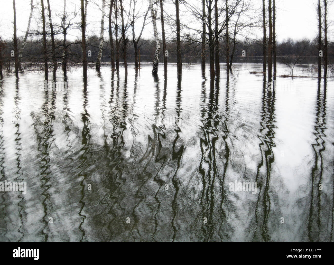 Bianco e nero still life fotografia di paesaggio inondato Foto Stock
