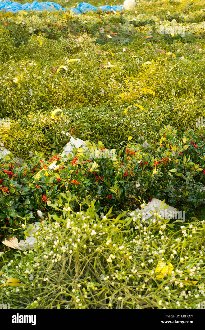 Tenbury Wells vischio e agrifoglio vendite Foto Stock