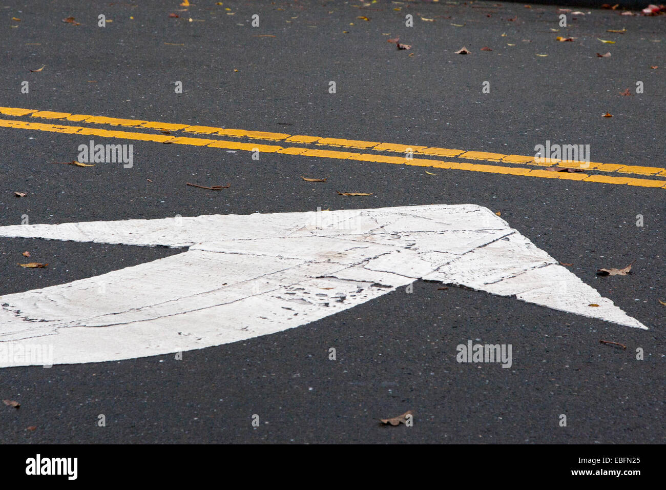 Svolta a sinistra e freccia a doppia linea gialla su una strada di Berkeley, in California. Foto Stock