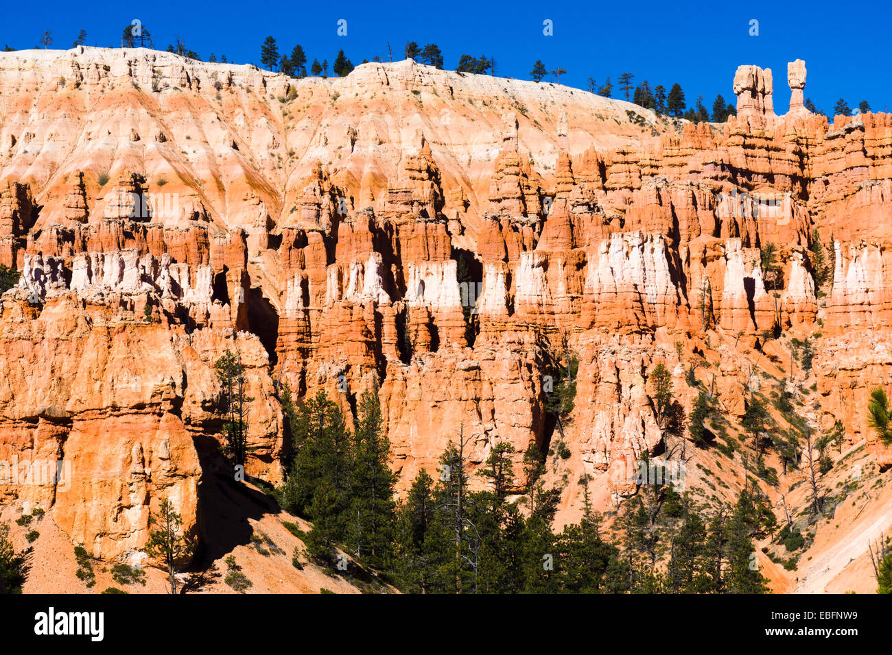 Il Thor del martello e altri hoodoos. Parco Nazionale di Bryce Canyon, Utah, Stati Uniti d'America. Foto Stock