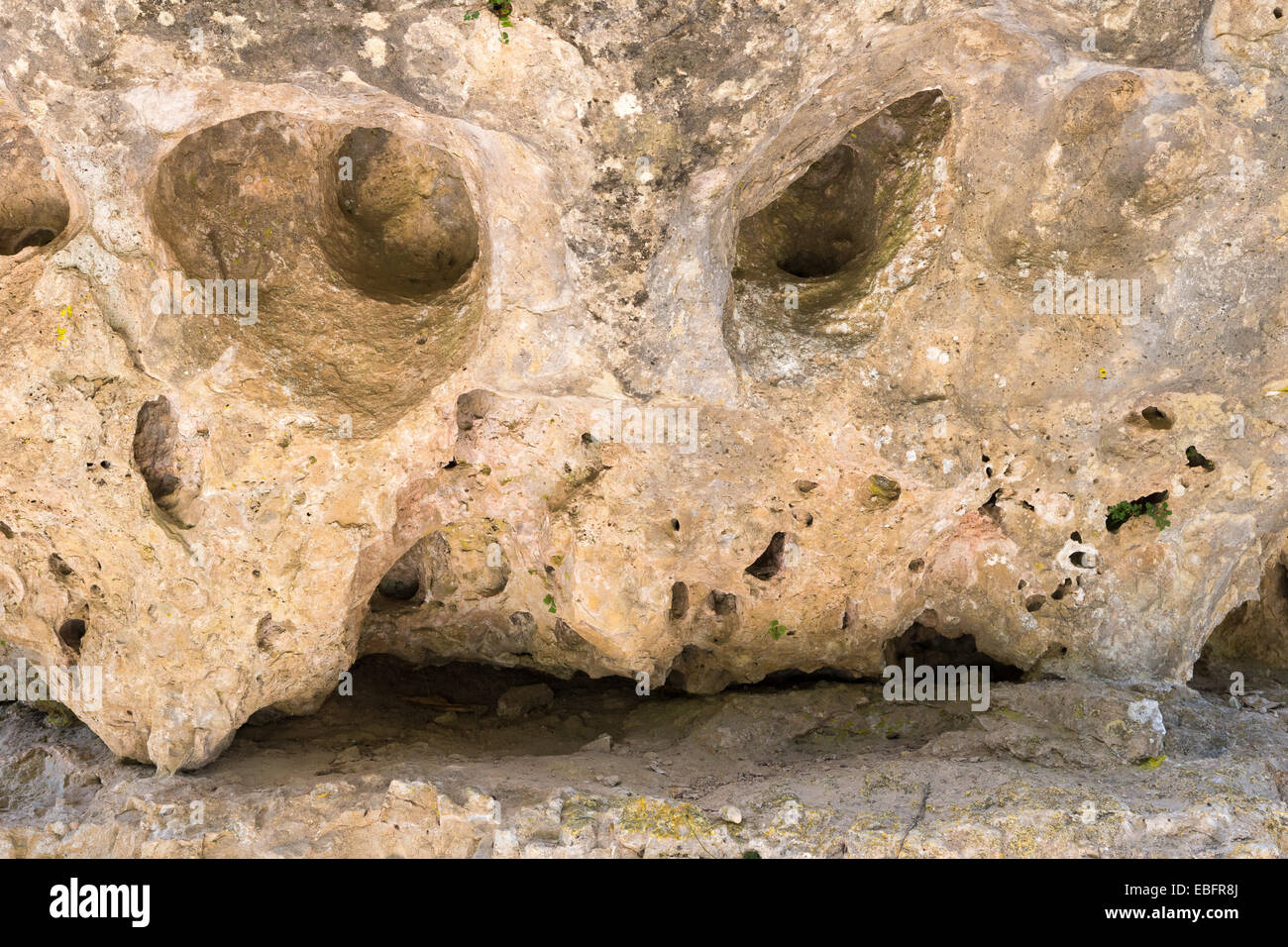 Un eroso la formazione di calcare che assomiglia a una faccia con gli occhi al Parc de loisirs Nature de Montpelier-le-Vieux vicino a Millau. Foto Stock