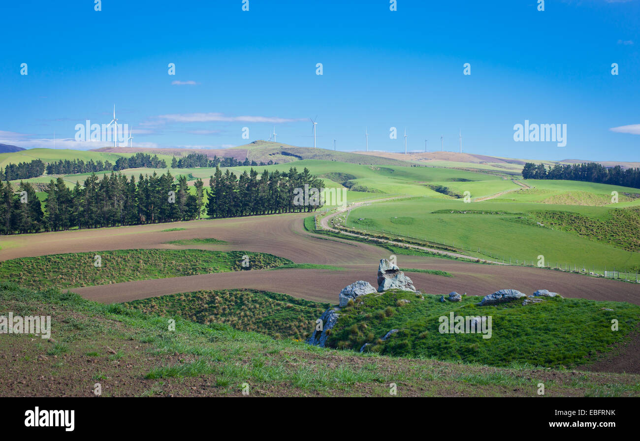 Uno sguardo alla vita in Nuova Zelanda: Wind Farm costruito su una fattoria di cervi. Foto Stock