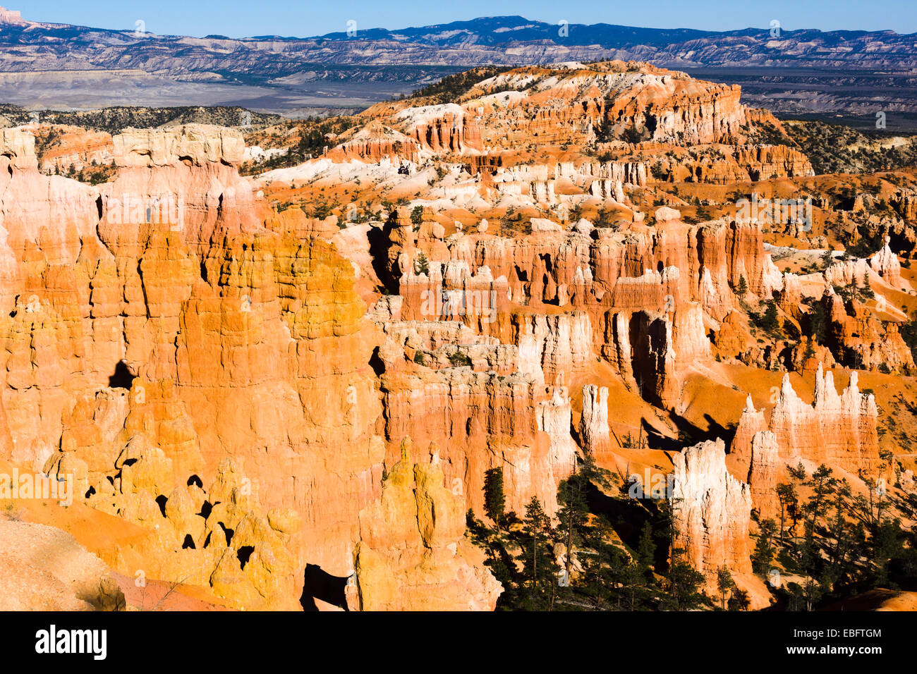 Anfiteatro di Bryce hoodoos nella luce della sera. Parco Nazionale di Bryce Canyon, Utah, Stati Uniti d'America. Foto Stock