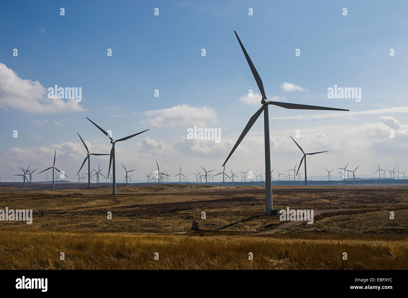 Una foto di Whitelee wind farm, situato vicino a Glasgow, in Scozia. Foto Stock