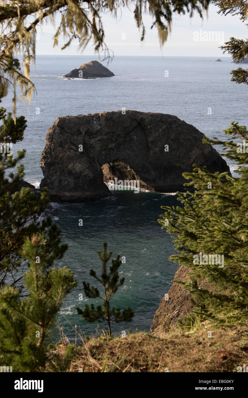 Arch Rock area picnic sulla US Route 101 su Oregon Coast su 12 miglio Samuel H. Boardman membro Scenic corridoio Foto Stock