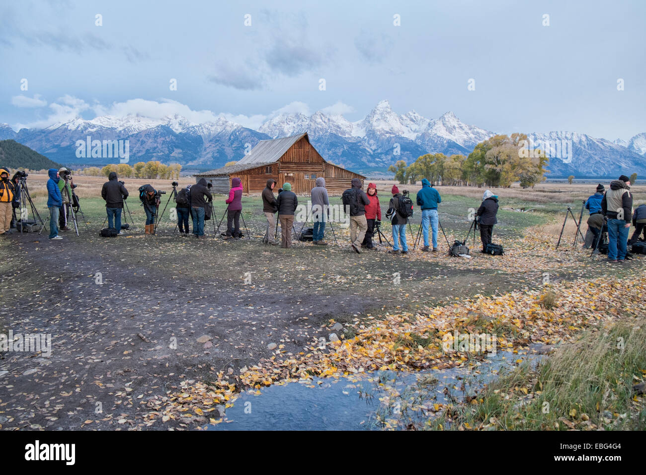 I fotografi si riuniscono per catturare l'alba alla riga mormone in Grand Teton su una fredda mattina di ottobre. Foto Stock