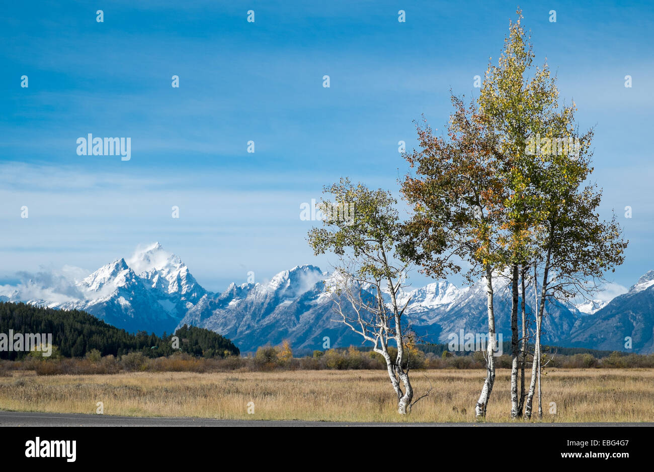 Il Parco Nazionale del Grand Teton durante l'autunno in Wyoming, STATI UNITI D'AMERICA Foto Stock