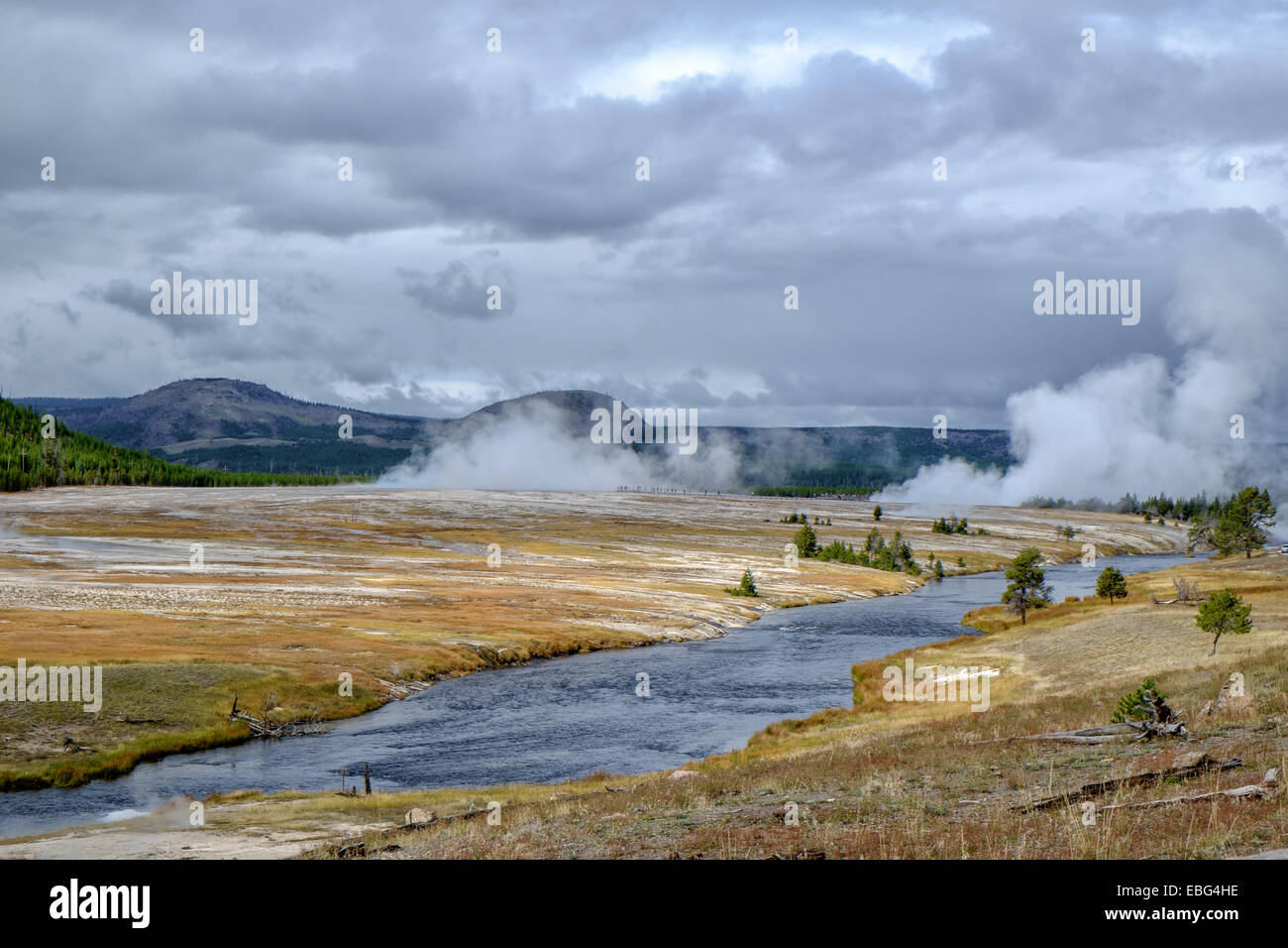 Attività geotermica nel Parco Nazionale di Yellowstone, WY, STATI UNITI D'AMERICA Foto Stock