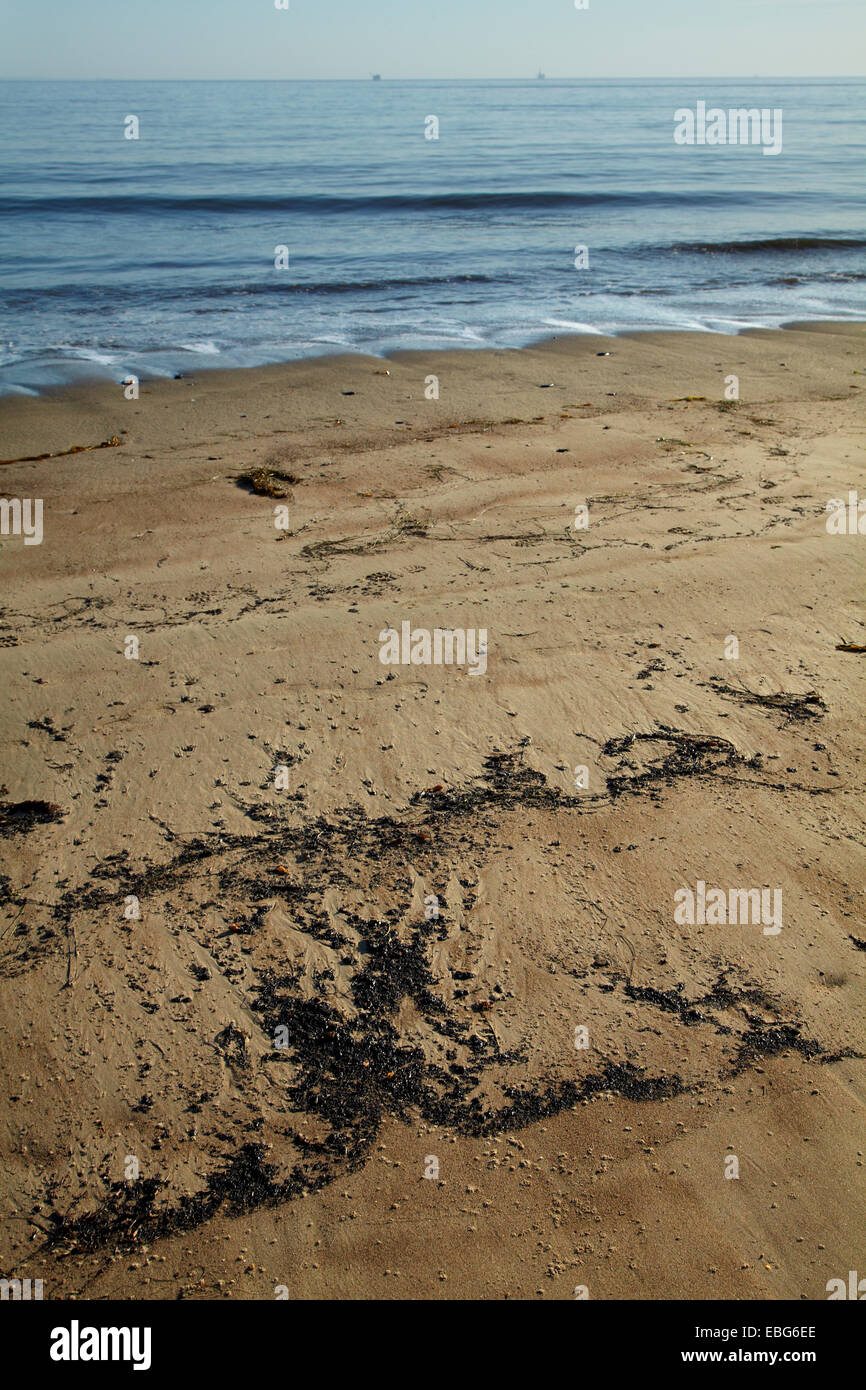 Olio su El Capitan State Beach, Santa Barbara County, Central Coast, CALIFORNIA, STATI UNITI D'AMERICA Foto Stock
