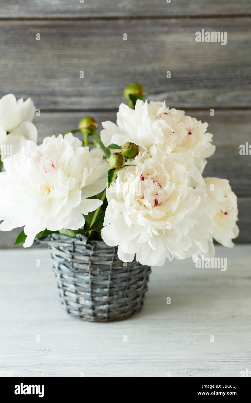 Peonie bianco in un vaso di fiori Foto Stock