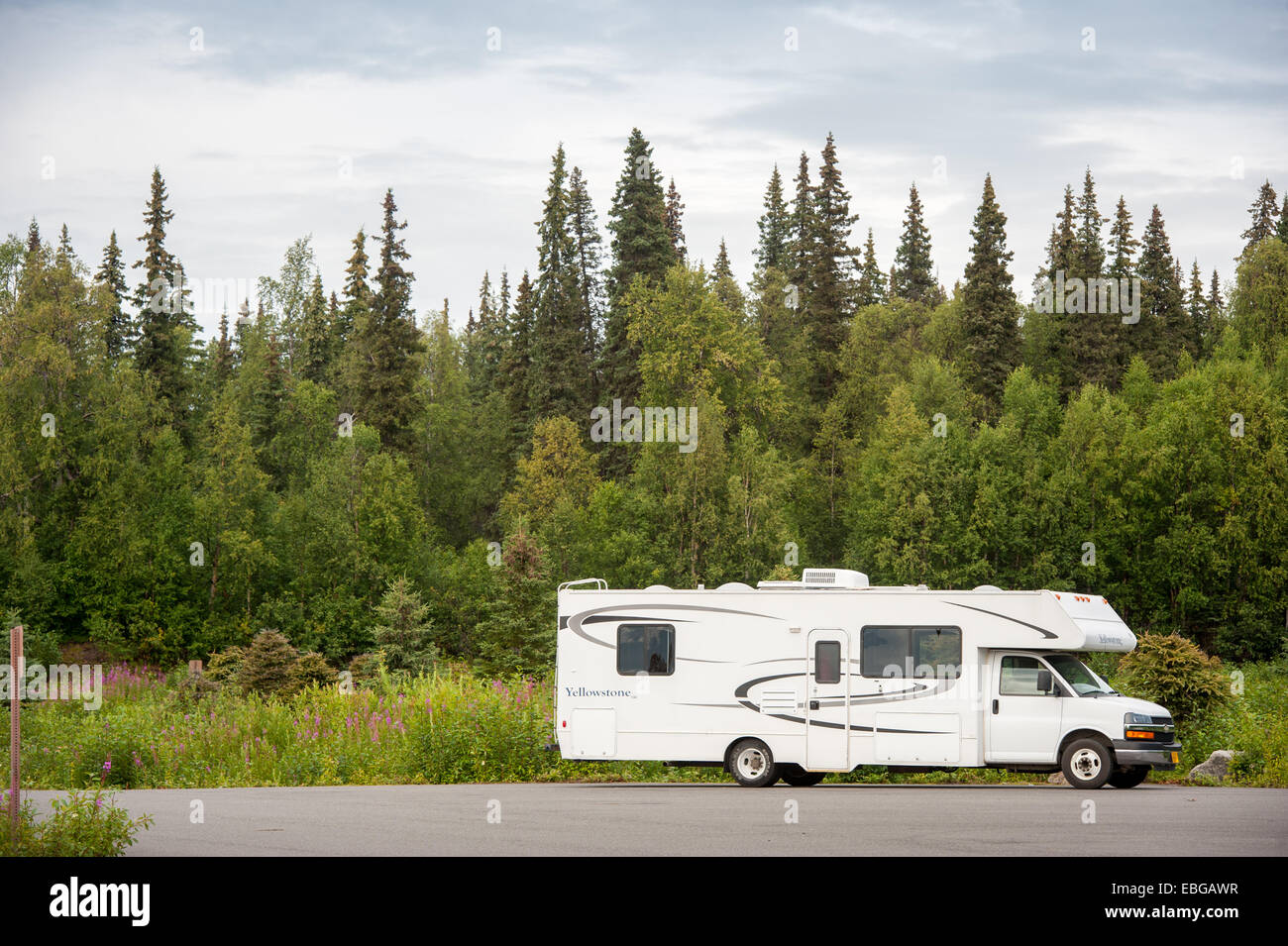 Camper parcheggiato di fronte Alaskan forest Foto Stock
