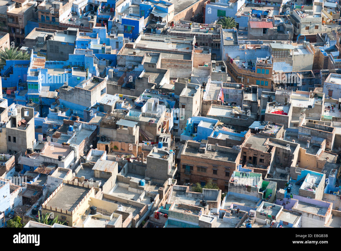 Città blu, tetti del centro storico, Jodhpur, Rajasthan, India Foto Stock