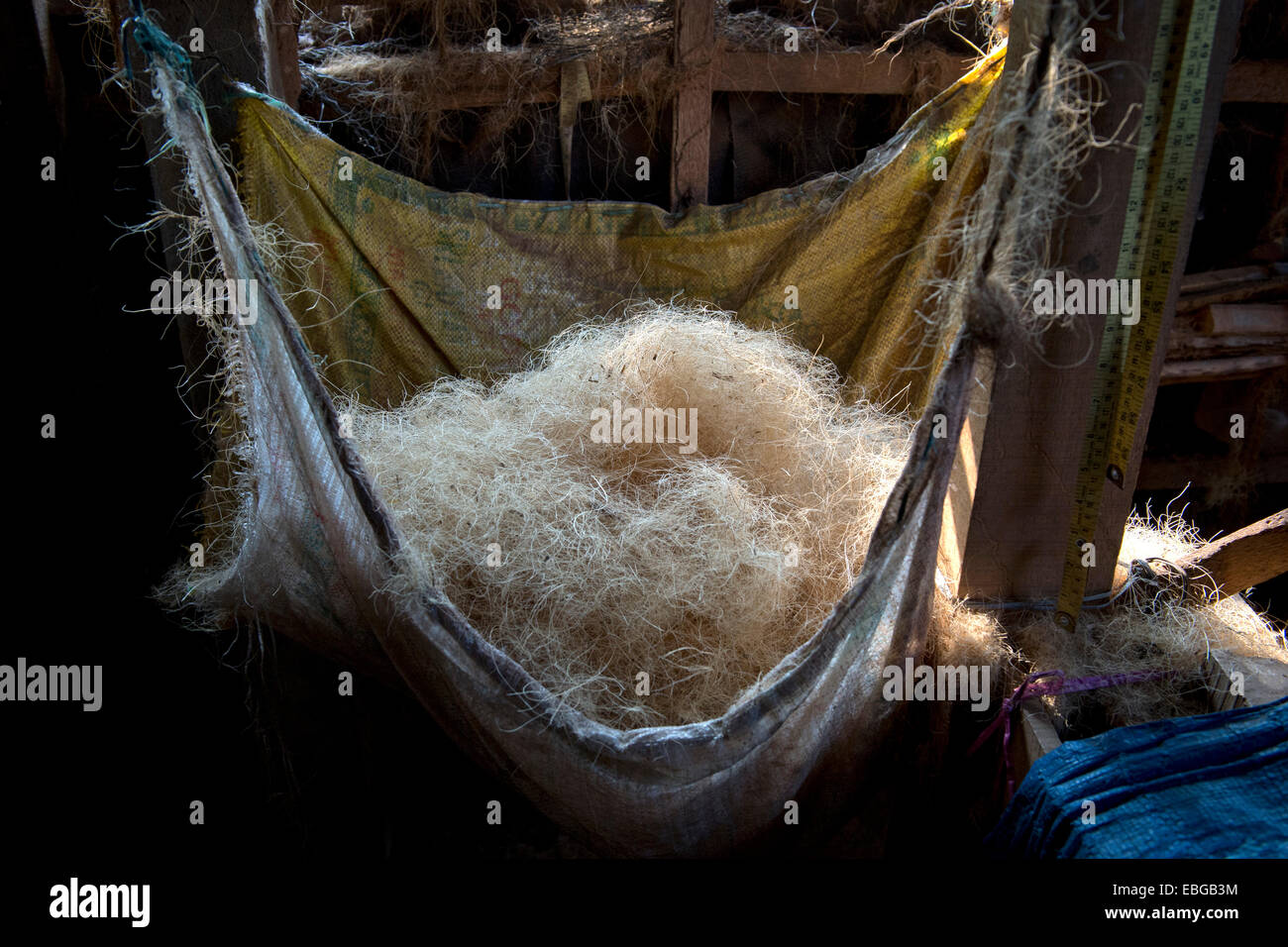 Fibre di cocco per ulteriore elaborazione in corde, Lago Vembanad, Kerala, India Foto Stock