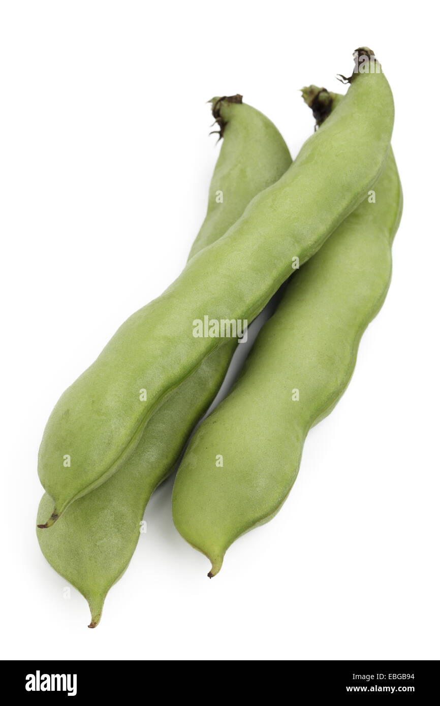 Fave (Vicia faba). Foto Stock